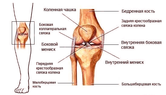 фото разрыва связок коленного сустава