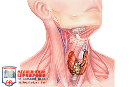 щитовидная железа узлы фото